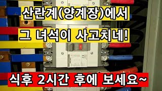 판넬 안에 쥐로인한 차단기 고장 [upl. by Austreng]