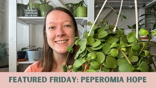 PEPEROMIA HOPE How I care for my peperomia hope [upl. by Lein]