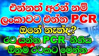 what are the rules for come Sri Lanka l latest rules in Katunayake Airport arrival amp Departure [upl. by Redneval]