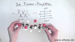 Die FischerProjektion [upl. by Annirtak]