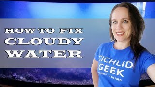 How to Fix Cloudy White Aquarium Water [upl. by Melamed56]