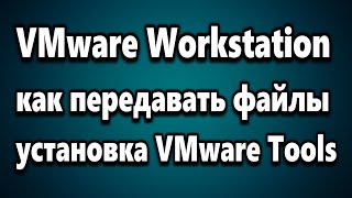 VMware Workstation PRO как передавать файлы между компьютером и виртуальной машиной [upl. by Namreg45]