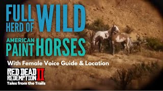 Red Dead Redemption 2 Full Herd of Wild American Paint Horses  New Austin Location  Guide [upl. by Aisatal446]