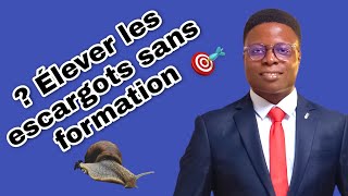 Comment élever les escargots sans formation [upl. by Melvena458]