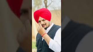 pbx1 song❤️Sidhu Moose wala vlog [upl. by Nylrad207]