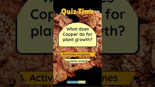 Use of copper for plant growth hydroponicway hydroponics shorts quiz sustainable quiztime [upl. by Schaaff]