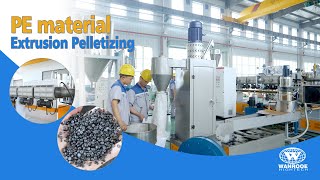 Plastic Pelletizer Machine PE Particle Double Stage Water Ring Pelletizer Granulator Machine [upl. by Bently]