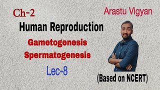 Gametogenesis Spermatogenesis Human Reproduction Ch2 cbse neet neet2025 [upl. by Lledrac]