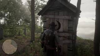 Red Dead Redemption 2  The Fate of the Secret Braithwaite Daughter  PS4 [upl. by Sams]