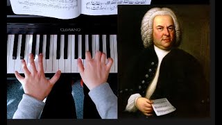 Gavotte in G French Suite No5 BWV 816 by Bach [upl. by Inele]