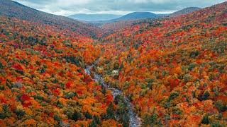 The Best Destination in America for Fall Foliage 🍂🍁 [upl. by Yarased]