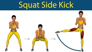 Perfect Legs Series Squat side kick [upl. by Yug]