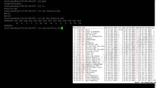 How Unix Treats Files Differently From Windows [upl. by Sedruol]