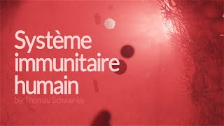 Comment fonctionne le système immunitaire humain  Animation [upl. by Ariajay421]