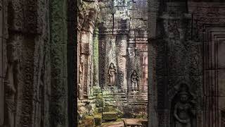 Ankor wat temple beutyful nature 2024 [upl. by Nairdna]