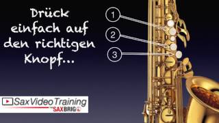 8 Videos für SaxophonAnfänger  Online Saxophon lernen shorts [upl. by Ear796]