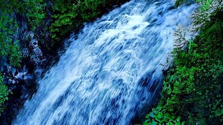 White Noise Waterfall Sounds for Sleep and Relaxation [upl. by Odlauso]