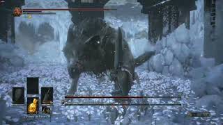 DARK SOULS III  Champions Gravetender amp Gravetender Greatwolf [upl. by Namia332]