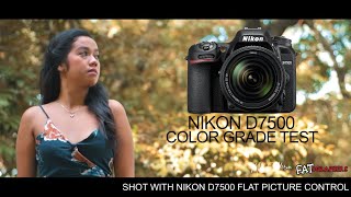 Nikon D7500 Color Grading Test  VLOG 85 [upl. by Ateerys]