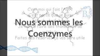 Nous sommes les Coenzymes [upl. by Remark223]