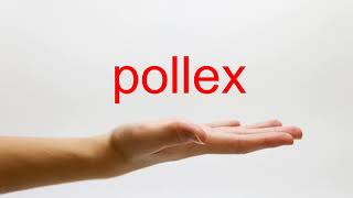 How to Pronounce pollex  American English [upl. by Adnolay]