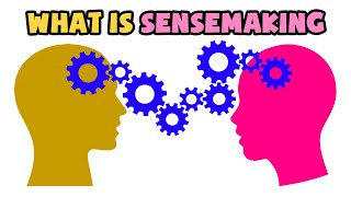 What is Sensemaking  Explained in 2 min [upl. by Anstus831]