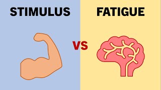 StimulustoFatigue Ratio  Exercise Selection for Hypertrophy Training [upl. by Yoko326]