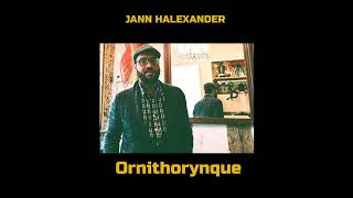 Jann Halexander – L amie de ma mère album Ornithorynque 2024 [upl. by Saddler545]