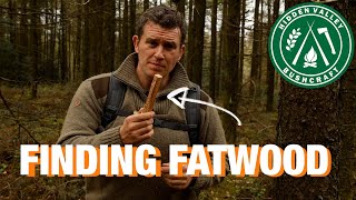 WHY are people BUYING FATWOOD Let me show you how to find it [upl. by Tebzil730]