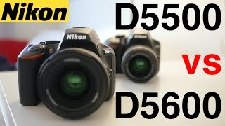 Nikon D5500 vs Nikon D5600  Which is the best beginner Nikon DSLR [upl. by Anilok372]