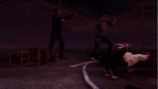 Sleeping Dogs  Infowlable Trophy Achievement HD [upl. by Garneau]