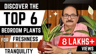 टॉप 6 बेडरूम पौधे  आपके स्वस्थ्य और खुशहाल जीवन के लिए I TOP 6 BEDROOM PLANTS [upl. by Honebein]