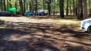 Video of Hawley Lake AZ from Krista Z [upl. by Roselani]