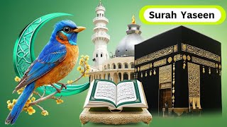 Surah Yasin  Yaseen  with Urdu Tarjuma  Quran tilawat  Ep69 Quran with Urdu Hindi Translation [upl. by Loats461]