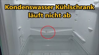 Wasser im Kühlschrank reinigen Kondenswasser Kühlschrank läuft nicht ab verstopft Schimmel [upl. by Silden]