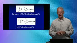 Quick Hits in Laboratory Medicine Thyroid Disease [upl. by Bust]