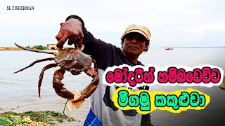 King Size Mud Crab Caught In Fishing Net [upl. by Ainoda]