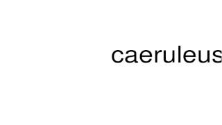 How to pronounce caeruleus [upl. by Pytlik631]