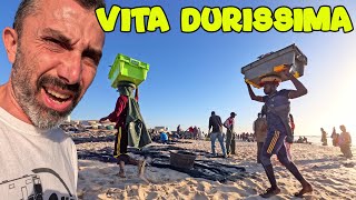 La DURA VITA del MERCATO del PESCE a Nouakchott in MAURITANIA 👉 Giro del MONDO in CAMPER [upl. by Narhet180]