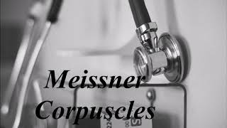 Learn how to pronounce Meissner corpuscles [upl. by Giustina]