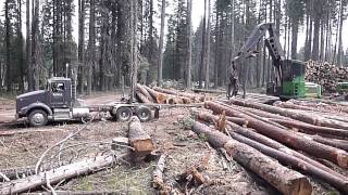 From the Forest to the MillForestry Operations in California [upl. by Zumstein]