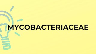 What is the meaning of the word MYCOBACTERIACEAE [upl. by Micky]