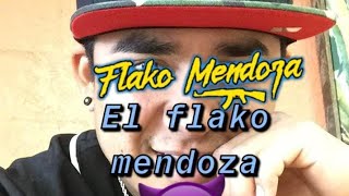 FLACO MENDOZA V2 JUAKIN MUSIK 2020 [upl. by Annazor]