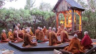 Pali Chanting In The Abhayagiri Buddhist Monastery  Theravada Buddhism [upl. by Aniraad]