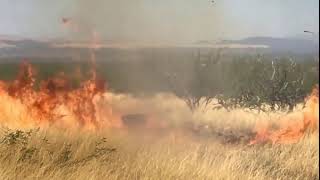 Sawmill Fire video starts [upl. by Niwrehs]