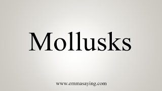 How To Say Mollusks [upl. by Pul653]