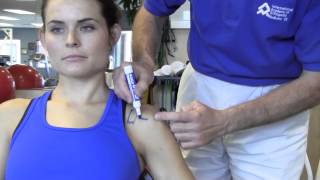 Shoulder Supraspinatus Transverse Friction Massage  Physical Therapy IAOMUS [upl. by Oicnanev147]