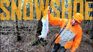 Snowshoe Hare Rabbit Hunting in the Catskill Mountains [upl. by Thgiwed]