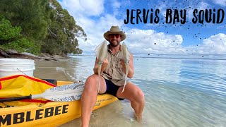 Squid fishing Jervis Bay from Hobie Kayak [upl. by Eladroc465]