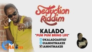 Kalado  Pum Pum Bring Life Raw Seduction Riddim June 2013 [upl. by Austine]